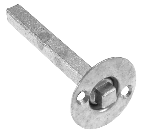 ALBERELLO CON POMOLO