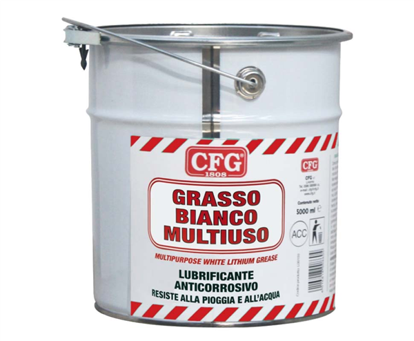 GRASSO LITIO CFG 5000 ML