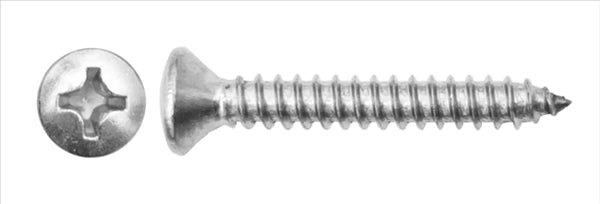 Vite Aut. Tsc Inox A4 5,5x32