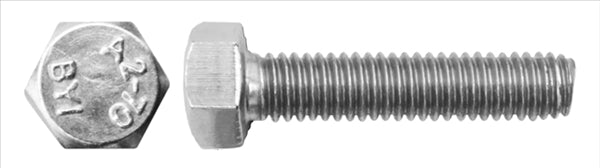 Vite Te Int.fil. Inox A4 6x60