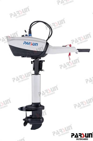 MOTORE ELETTRICO PARSUN 3.0 HP