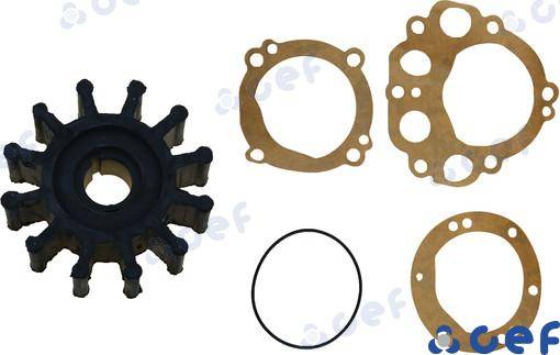 GIRANTE SHERWOOD 10077K