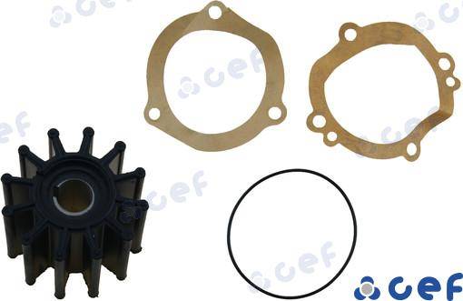 GIRANTE SHERWOOD 15000K