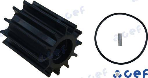 GIRANTE