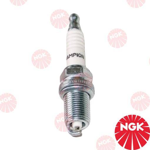 CANDELA CHAMPION QL76V