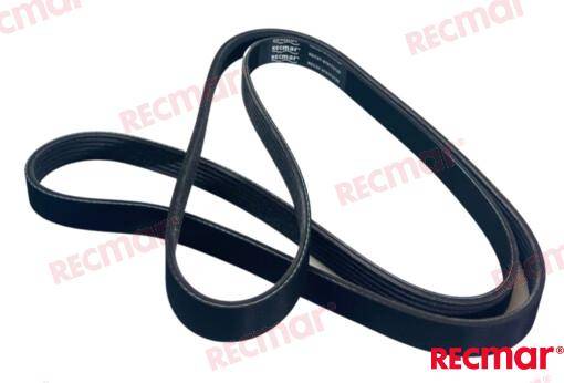CINGHIA QSD 2.0
