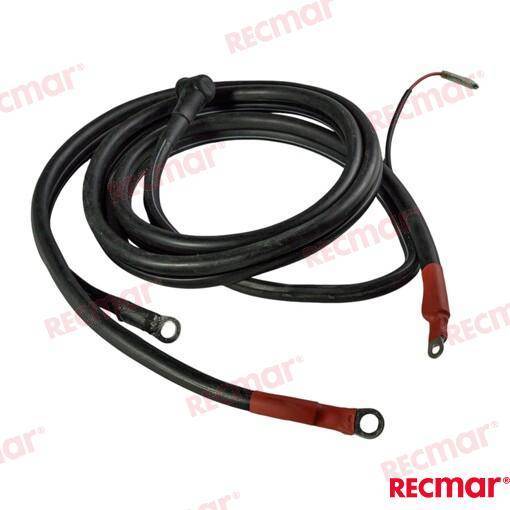 CAVO BATTERIA 2,5M