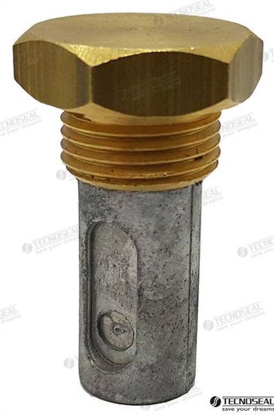 ANODO RENAULT C/TAPPO