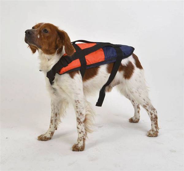 AIUTO AL GALLEGGIAMENTO CANI L >20 KG