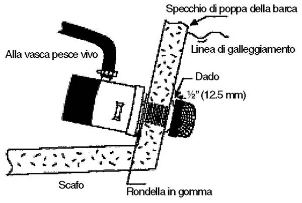 SUCCHIERUOLA DETRITI