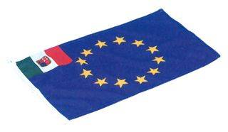 BANDIERA EUROPEA CM.30X45
