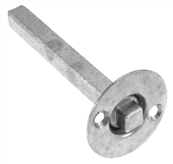 ALBERELLO CON POMOLO