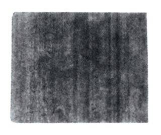 Spatola Giapponese Mm.60