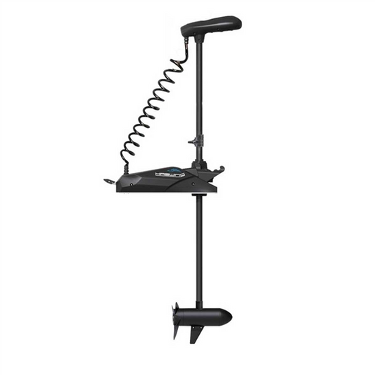 Haswing Cayman B 55lb 12v 60"