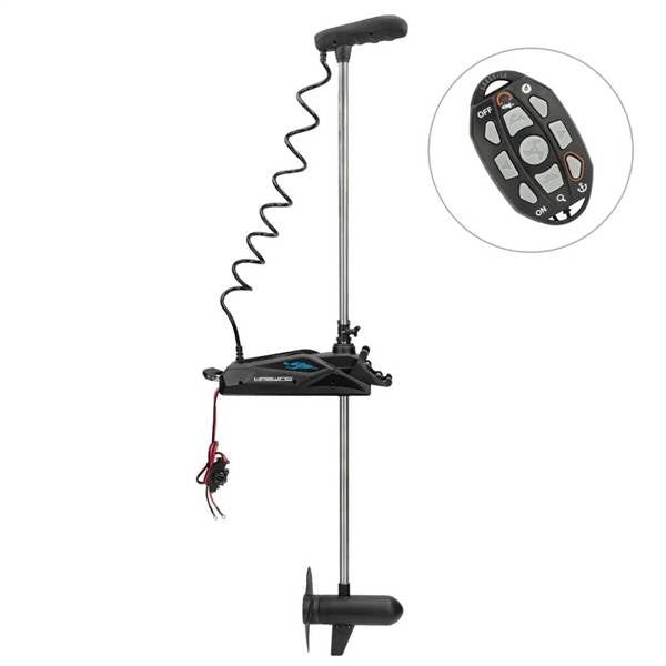 HASWING CAYMAN B 120LB 36V 82"