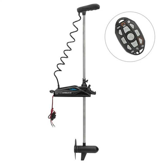 HASWING CAYMAN B 120LB 36V 82"