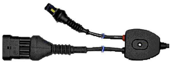 CAVO DIAGNOSI PRINCIPALE AM01