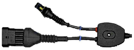 CAVO DIAGNOSI PRINCIPALE AM01