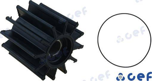 GIRANTE SHERWOOD 17000K