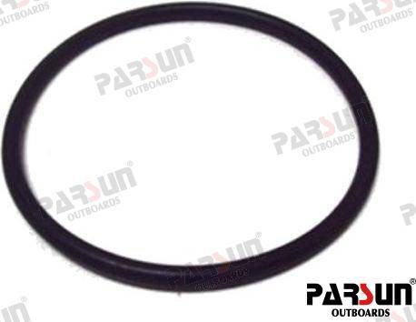 O-RING