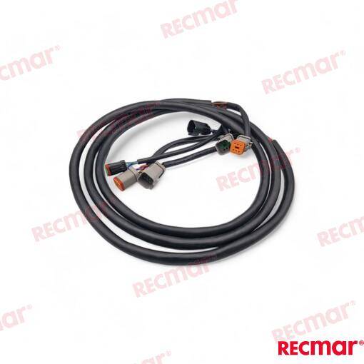 ESTENSIONE 10FT (3M)