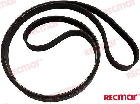 CINGHIA SERPENTE con servo