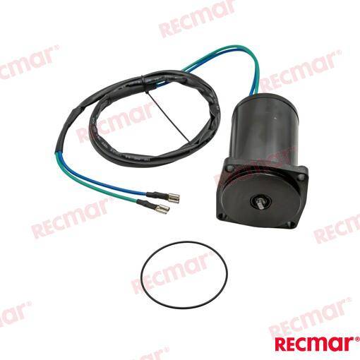 TRIM MOTOR ASSY