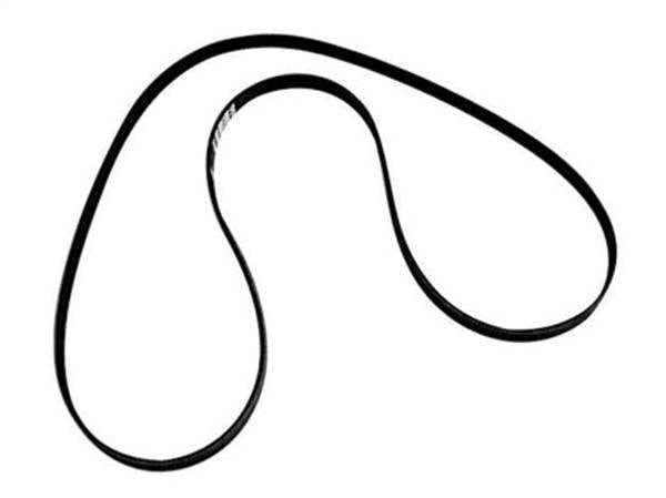CINGHIA SERPENTE  MCM PIEDE ALPHA