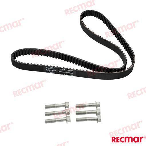 CINGHIA DISTRIBUZIONE