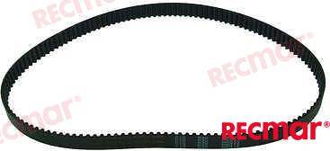 CINGHIA