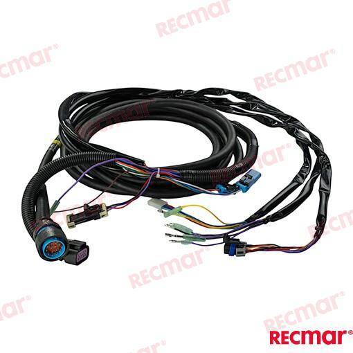ESTENSIONE 20FT