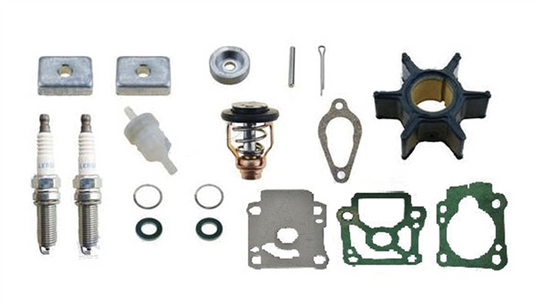 KIT DI MANUTENZIONE 8HP