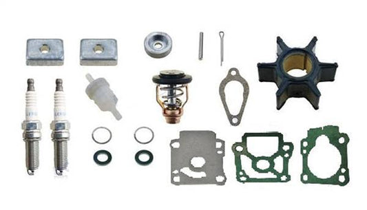 KIT DI MANUTENZIONE 8HP