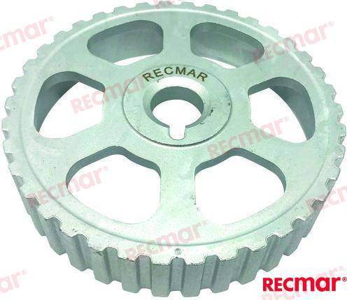 PIGNONE ASSE A CAMME